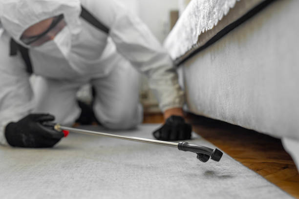 Professional Cockroach Control technician working in Elsa, TX
